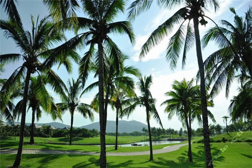 江泉道时尚韩餐