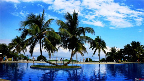 甜品店创业攻略怎么写