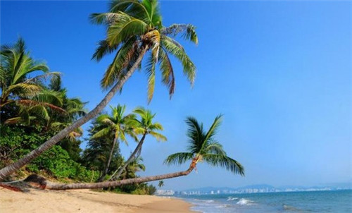 十大挖掘机之一是什么样的（十大挖掘机排名）