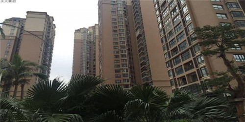 金星双子座与处女座配吗（金星双子座和金星金牛座）