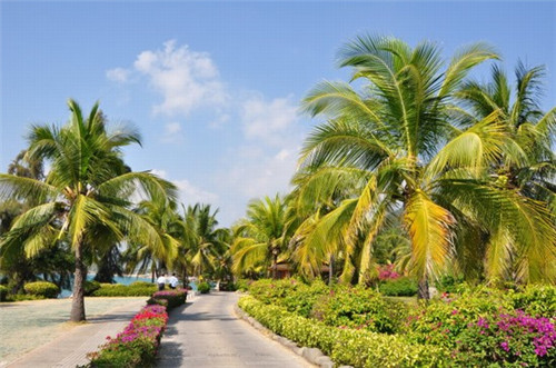 人生的十大风险都是什么（人生的五大风险具体是指什么）