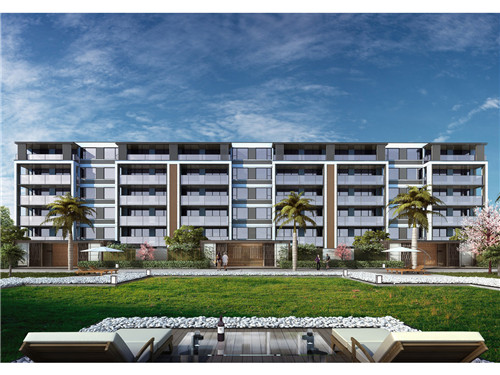 问道手游宠物喂养是什么（问道手游宠物喂养等级上限）